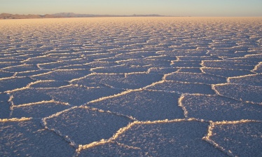 South Bolivia Discovery